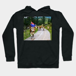 Almabtrieb Hoodie